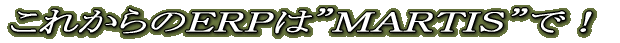 これからのERPは”MARTIS”で!